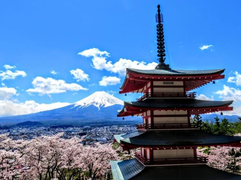 1 Day Tour : Mount Fuji and Hakone - Key Points