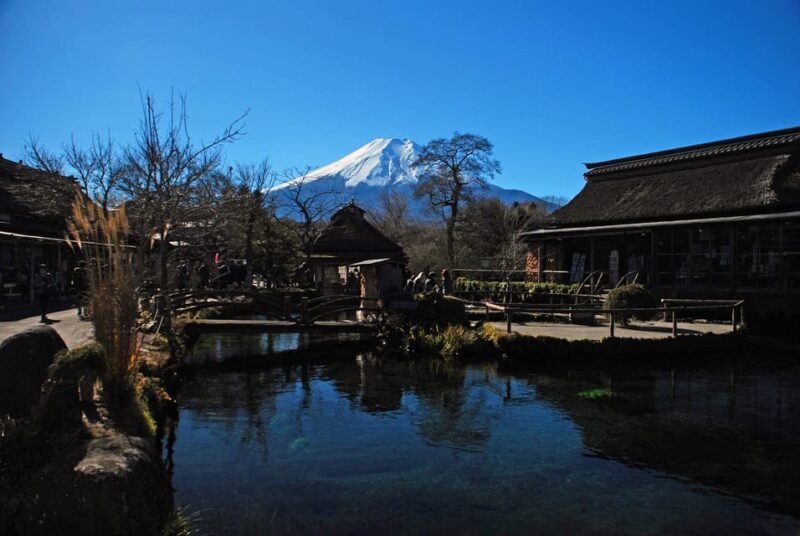 1 Day Tour : Mount Fuji and Hakone - Who Will Love This Tour