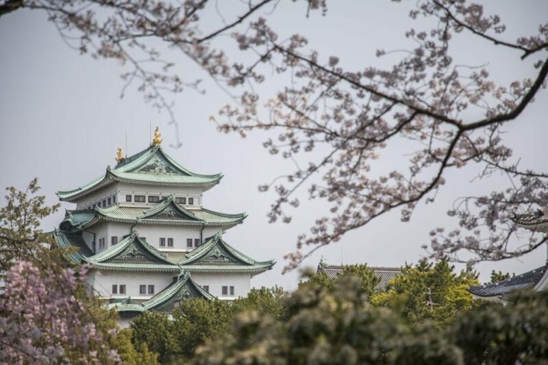 1-Day Tour: Nagoya Castle, Gardens & Historic Estate - Discovering Nagoya’s Gems: A Detailed Review of the 1-Day Tour