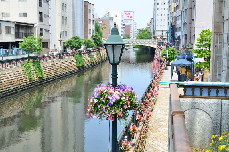 1-Day Tour: Nagoyas Industrial Legacy and Toyotas Innovation - Price, walking and who will get the most from it