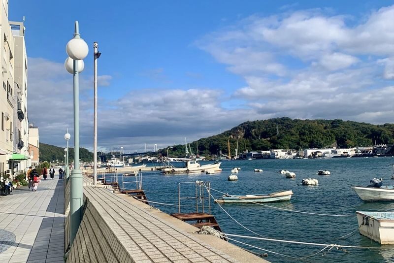 1-Day Tour: Onomichi Temples Exploration & Saijo Sake Tasting - Who will get the most from this day