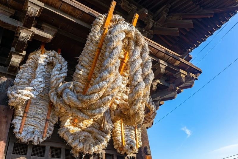 1-Day Tour: Onomichi Temples Exploration & Saijo Sake Tasting - Should you book the Saijo and Onomichi tour?