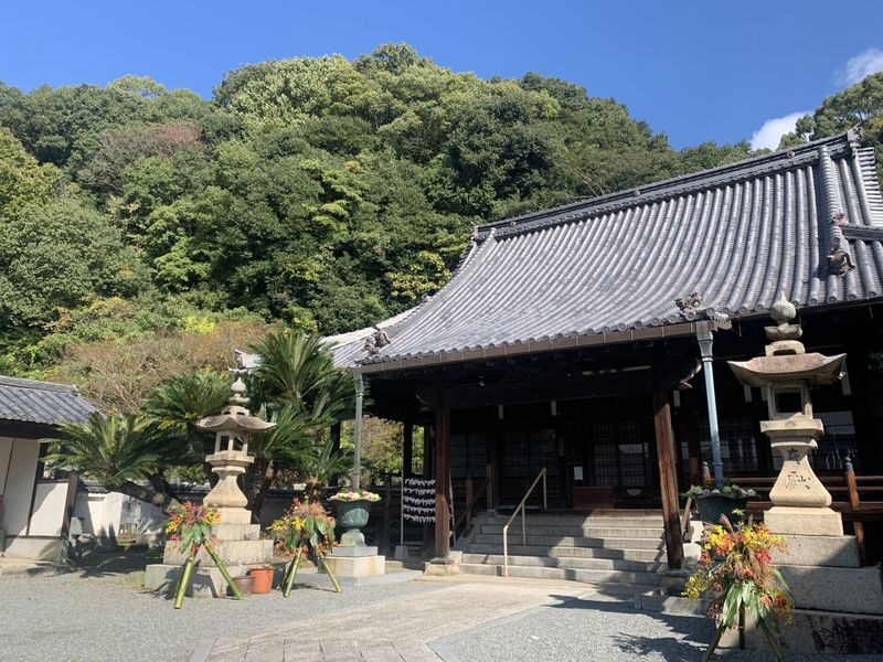 1-Day Tour: Takehara Historical Townscape & Rabbit Island - Takehara’s Preserved Edo-Period Townscape