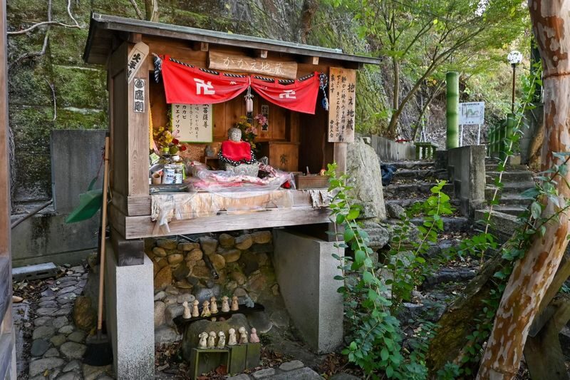 1-Day Tour: Takehara Historical Townscape & Rabbit Island - What the Day’s Pace Feels Like