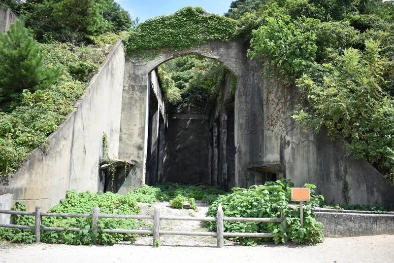 1-Day Tour: Takehara Historical Townscape & Rabbit Island - Should You Book the Takehara and Rabbit Island Tour?