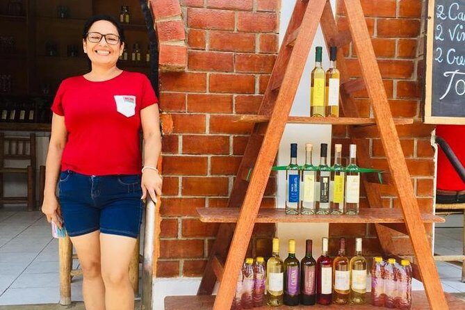 1 Day Tour to Huacachina from Lima (Dunebuggy + Vineyards) - The Sum Up: Is It Worth It?