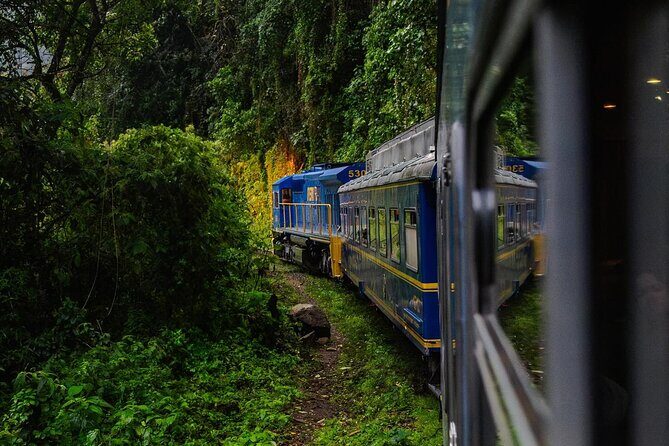 1-Day Tour to Machu Picchu by Train with Entrance Circuit 3 - Final Thoughts: Is This Tour Right for You?