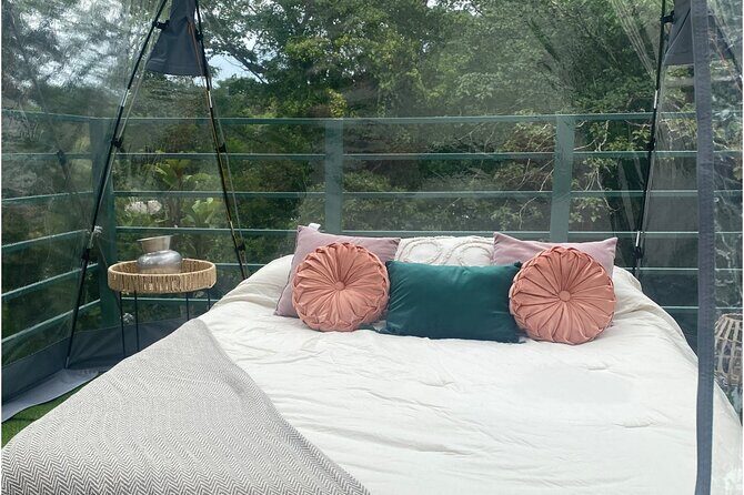 1 Day Tree Climbing and Rappelling Experience with Accommodation - Experience the Thrill of Costa Rica’s Tropical Forest with a Unique Tree Climbing Tour