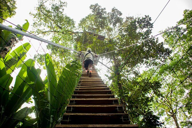 1 Day Tree Climbing and Rappelling Experience with Accommodation - The Sum Up: Who Should Consider This Adventure?