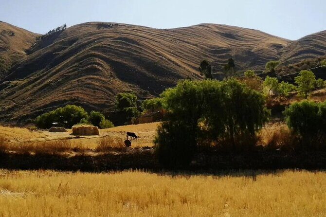 1 Day Trek in the Crater of Maragua and Inca Trails in Sucre - Who Should Consider This Tour?