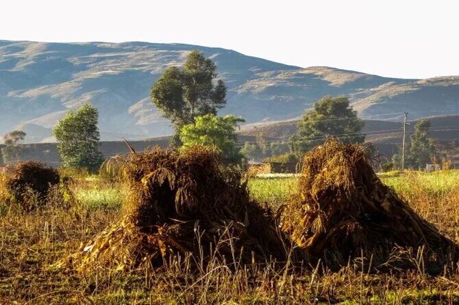 1 Day Trek in the Crater of Maragua and Inca Trails in Sucre - Final Thoughts