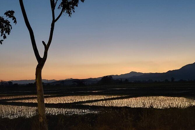 1 Day Trekking in Chiang Mai - What Travelers Are Saying