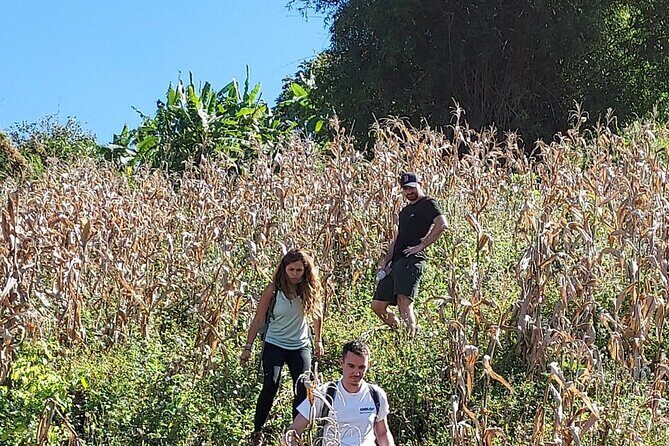 1 Day Trekking in Chiang Mai - FAQ