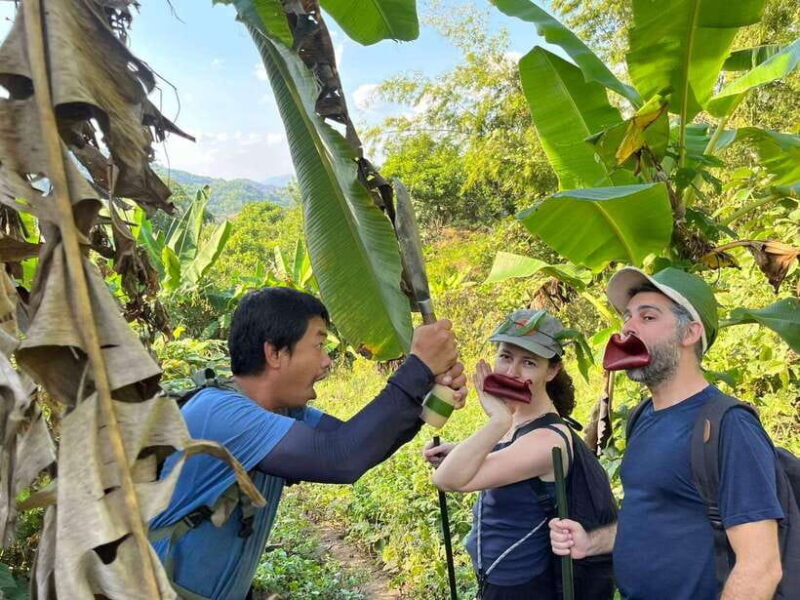 1 Day Trekking in Chiang Rai forest (walk only) - Chiang Rai 1 Day Trekking (Walk Only): An Authentic Day in Thailand’s Nature and Culture