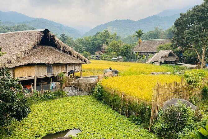 1 Day Trekking Tour in Ha Giang with Local Experts - Key Points