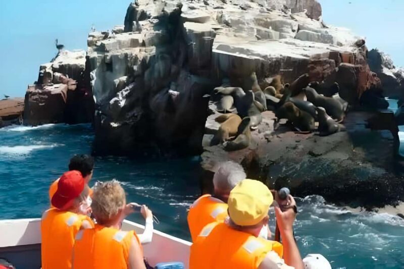 1-day trip: Discover Paracas and Huacachina Oasis - Key Points