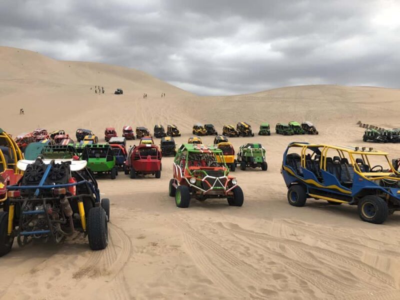 1-day trip: Discover Paracas and Huacachina Oasis - An In-Depth Look at the Tour Experience