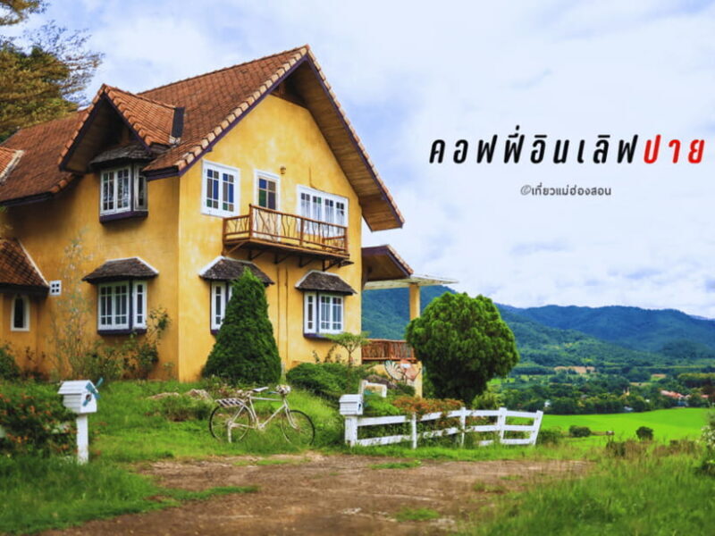1-Day Trip from Chiang Mai to Pai (Van Rental with Driver) - Who Should Consider This Tour?