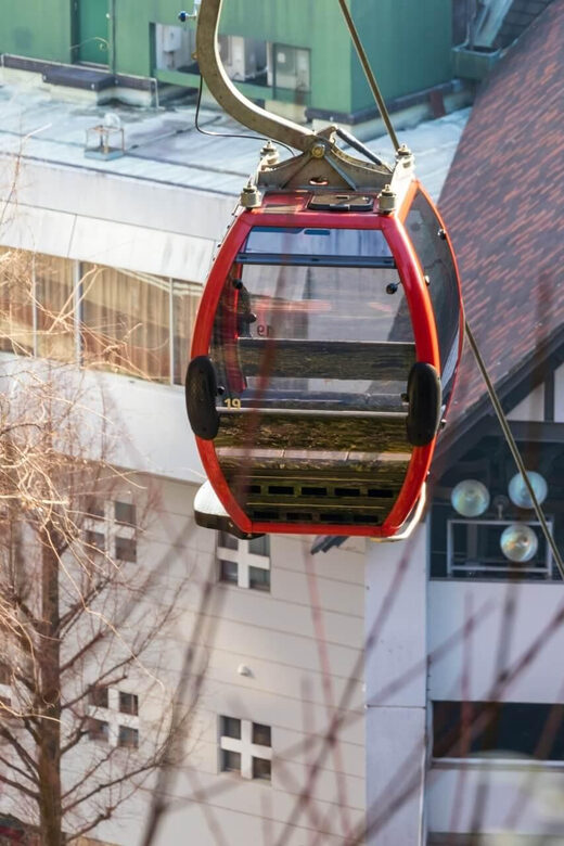 1-Day Walking Tour around Kobe : Mountains, Sea and Sake - FAQ