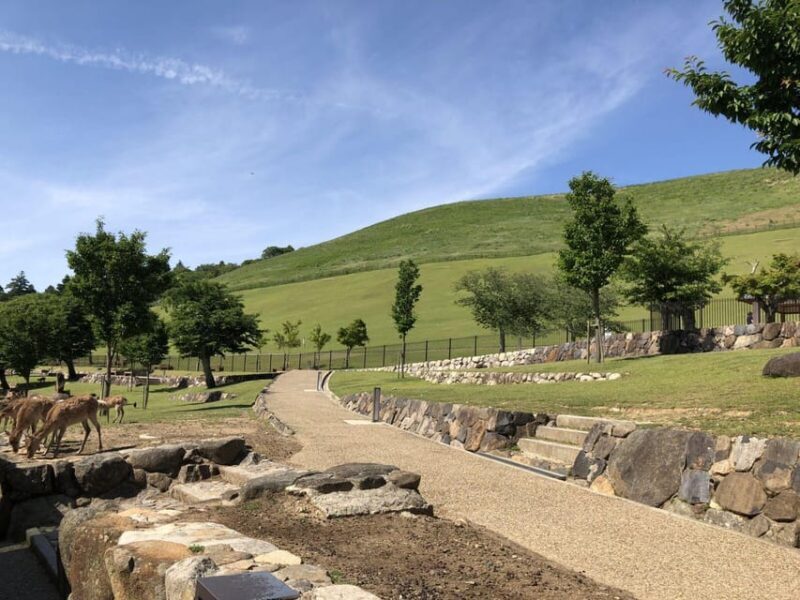 1-Day Walking Tour in Nara: Palace, Deer and Inkstick - FAQ