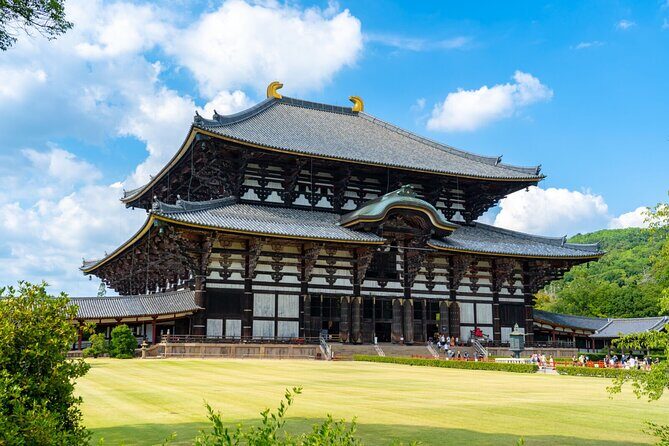 1 Day Walking Tour in Nara, Todaiji Temple, Deer and Inkstick - Quick Overview