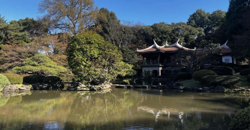 1 Day Walking Tour in Shinjuku and Shibuya: The Best of Both - A Deep Dive into Tokyo’s Contrasts