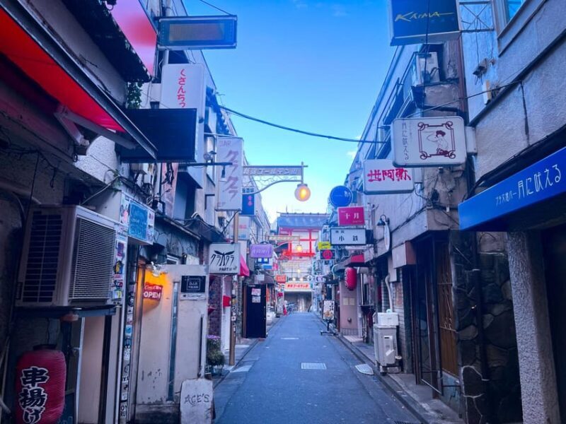 1 Day Walking Tour in Shinjuku and Shibuya: The Best of Both - Who Should Consider This Tour?