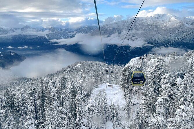 1 day Whistler Tour from Vancouver Experience (chn&eng) - Key Points
