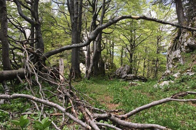 1 day White Rocks Wilderness - Vihoraski trail Hike from Zagreb - FAQ