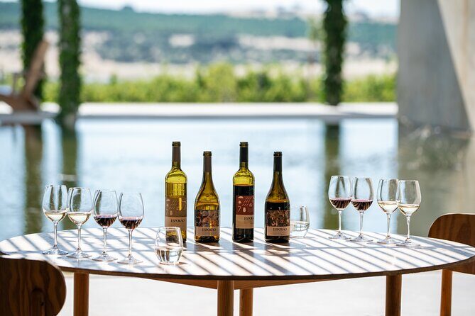 1 Day Wine Tour Around Évora - Introduction: Discover the Best of Évora’s Wine Country in a Day