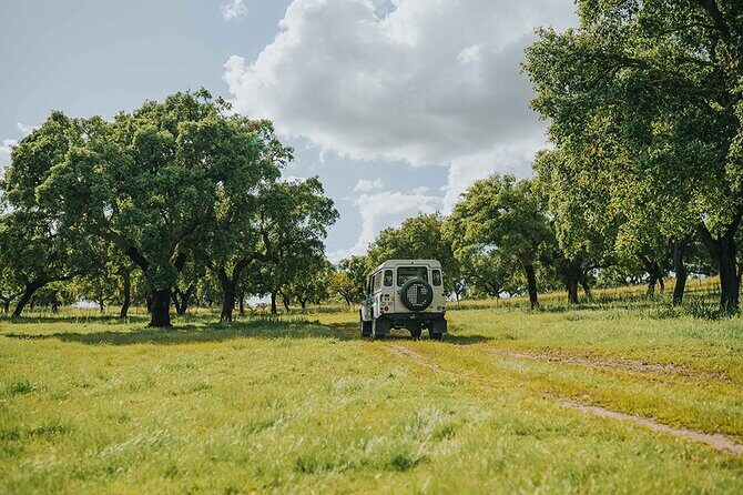 1 Day Wine Tour Around Évora - Key Points