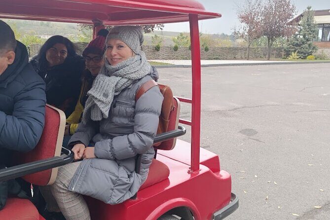 1 DAY:Chisinau Sightseeing Tour &Cricova Cellar wine Tasting - Experience the Best of Chisinau and Cricova: A Practical, Authentic Tour
