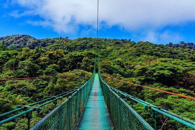 1 Full Private Tour to Arenal Volcano + Baldi Hot Springs - Final Thoughts