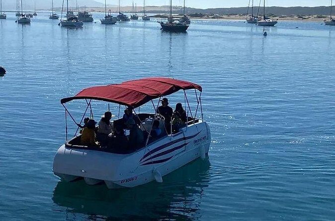 1 Hour Boat Rental - Analyzing the Price and Value