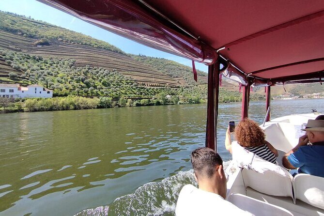 1-hour boat trip along the Douro River in Pinhão - A Detailed Look at the Experience