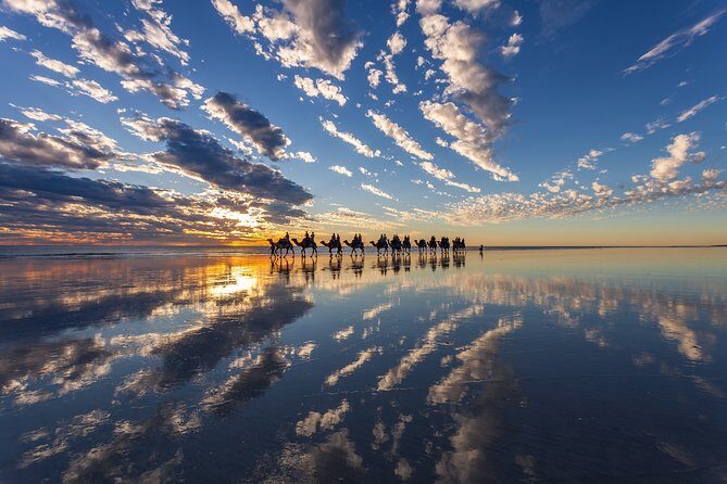 1 Hour Broome Sunset Camel Tour - A Detailed Look at the Broome Sunset Camel Tour