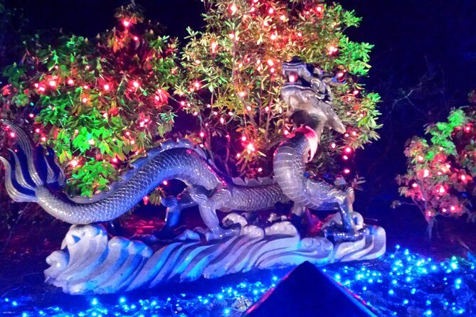 1 hour City Tour & Butchart Gardens: Christmas - Entry included! - A Deep Dive into the Experience