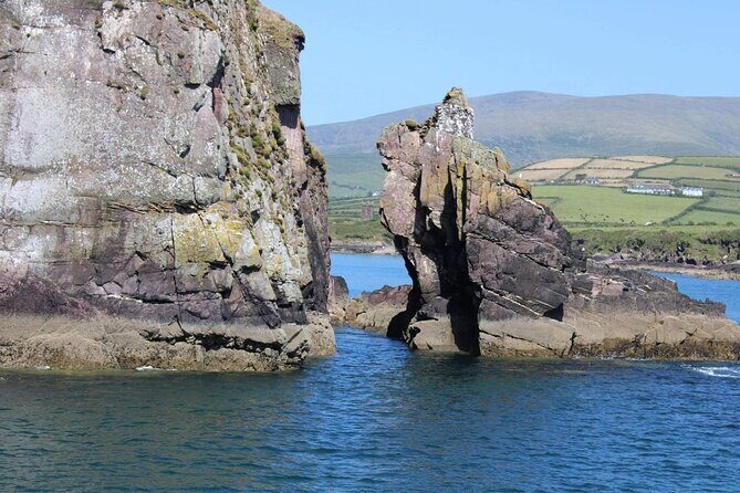 1 hour Dingle Bay Cliff Tour - A Detailed Look at the Dingle Bay Cliff Tour