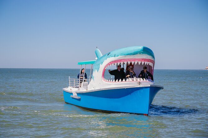 1-hour Dolphin Sightseeing Adventure Cruise from Madeira Beach - Key Points