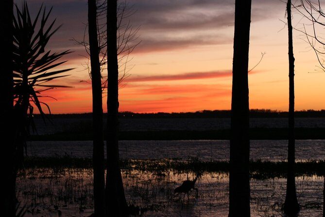 1-Hour Evening Airboat Ride - FAQ