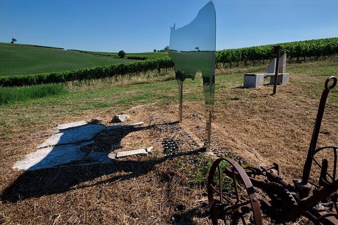 1-Hour Experience with Brunello. Visit to the Vineyard and Cellar - An In-Depth Look at the Experience