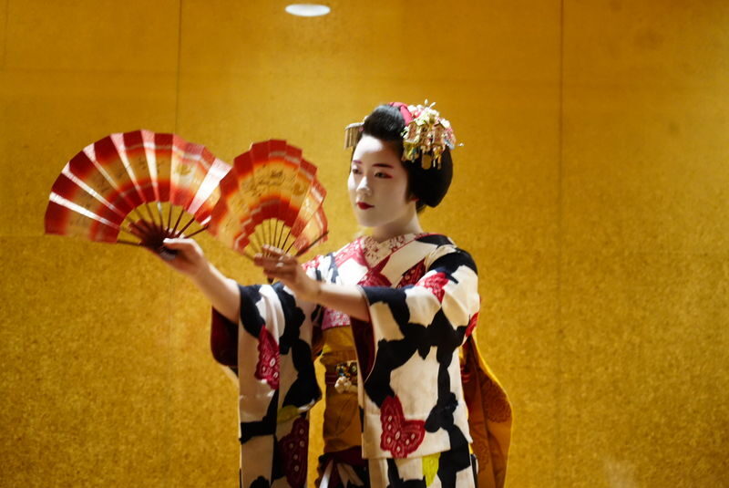 1-Hour Geisha/Maiko Show in Kyoto - The experience in a nutshell