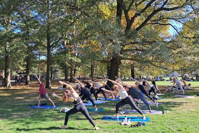1 Hour Group Yoga Class in Central Park - A Yoga Break in the Heart of Central Park: What to Expect