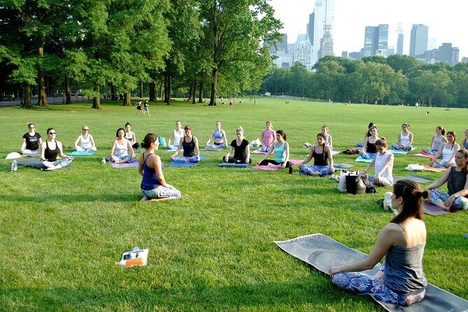 1 Hour Group Yoga Class in Central Park - Key Points