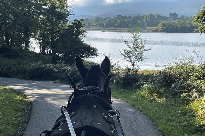 1 Hour Guided Carriage Tour in Killarney National Park - FAQ