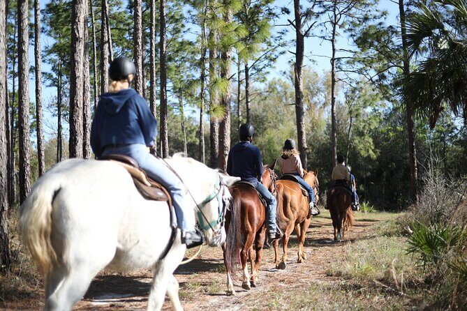 1 Hour Guided Horseback Trail Ride Rock Springs Run State Reserve - Exploring Central Florida’s Natural Beauty on Horseback