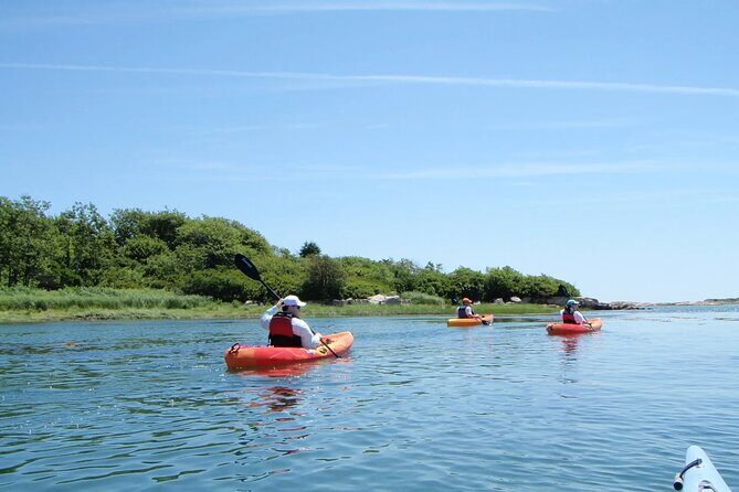 1 Hour Guided SUP/Kayak Tour in Pelican Bay at Fort Myers Beach - An In-Depth Look at the 1 Hour Guided SUP/Kayak Tour in Pelican Bay