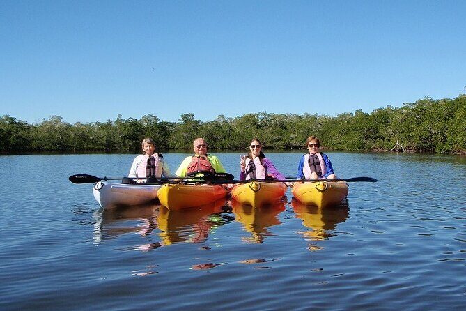 1 Hour Guided SUP/Kayak Tour in Pelican Bay at Fort Myers Beach - Frequently Asked Questions