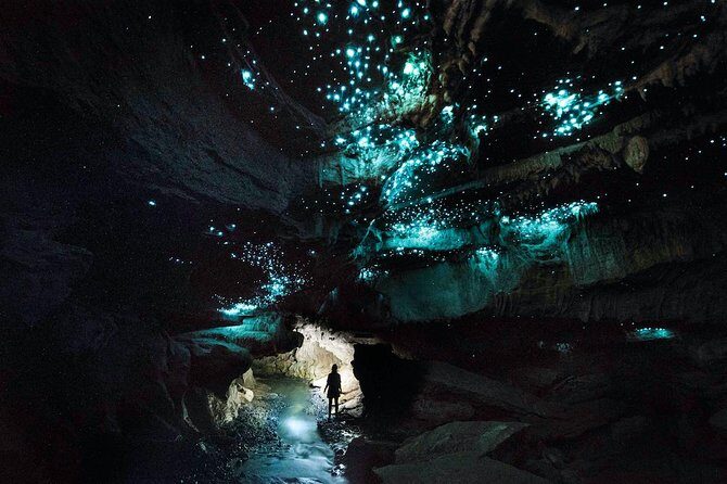 1-Hour Guided Tour of Aranui Cave Waitomo - Real Experiences from Visitors