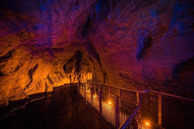 1-Hour Guided Tour of Aranui Cave Waitomo - Who Should Book This Tour?